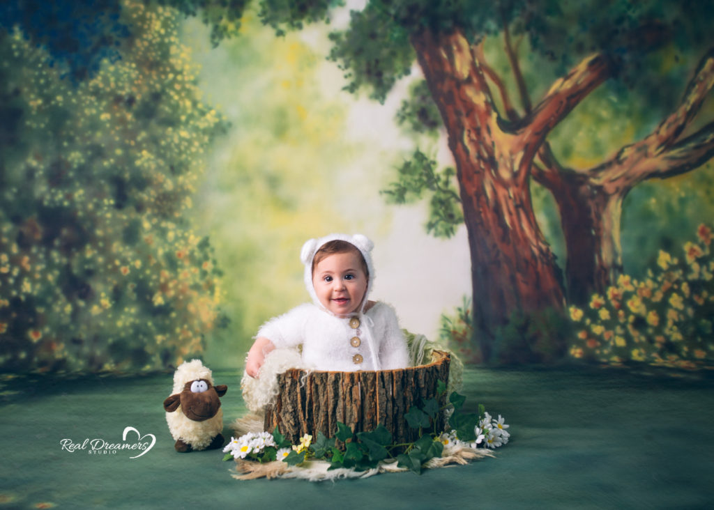 Real Dreamers Studio pecorella